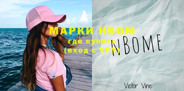 прущие грибы Алзамай
