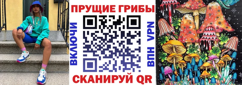 Галлюциногенные грибы Cubensis  наркота  Цоци-Юрт 